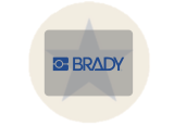 Brady