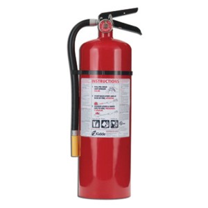 Fire Extinguisher, 10lb